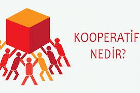 Kadın Girişimciliği ve Kadın Kooperatiflerinin Ekonomiye Katkısı