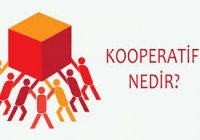 kadin-girisimciligi-ve-kadin-kooperatiflerinin-ekonomiye-katkisi